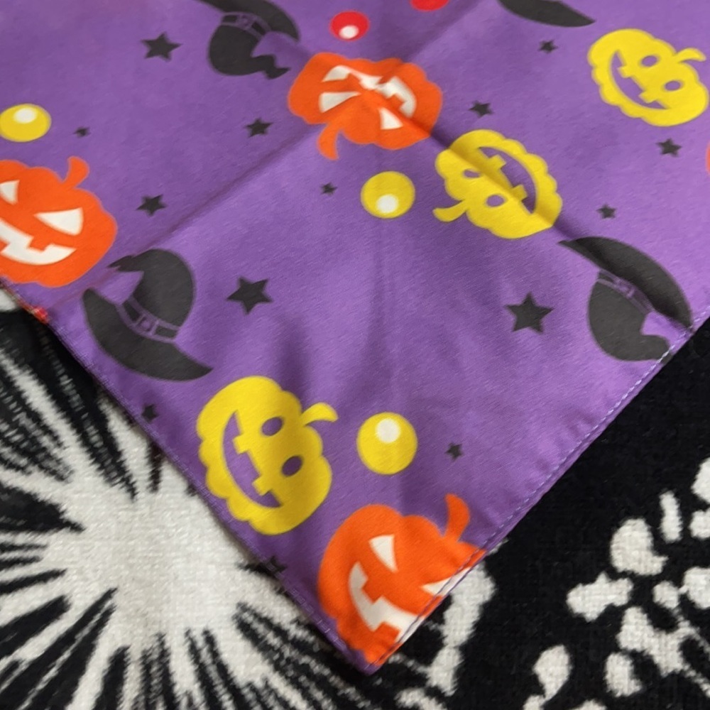 NWT set/4 Halloween pet bandanas - Picture 6 of 6